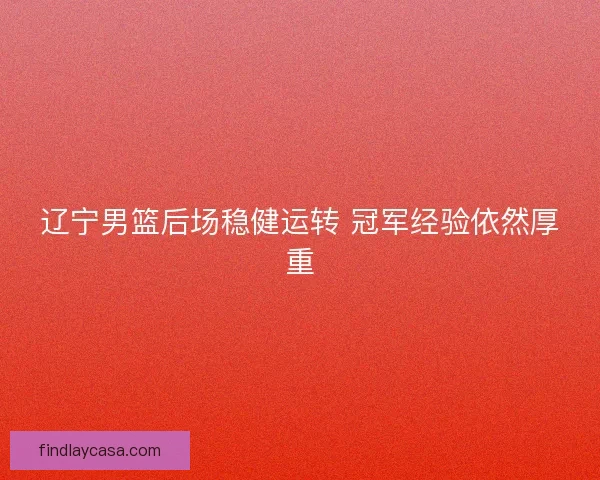 辽宁男篮后场稳健运转 冠军经验依然厚重